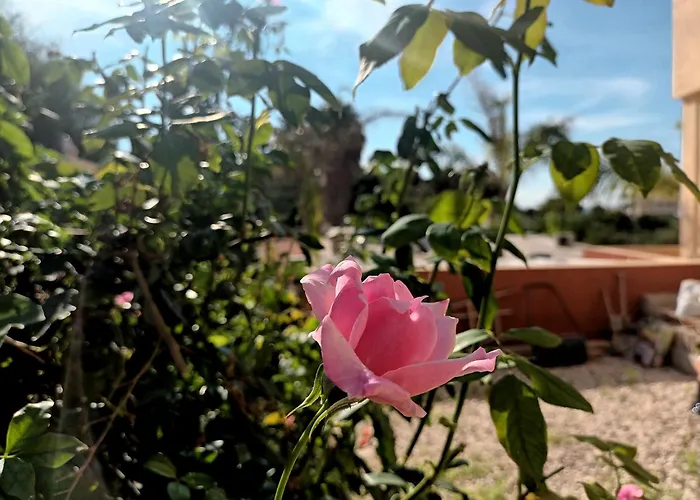 Guesthouse En Coveta Fuma- El Campello