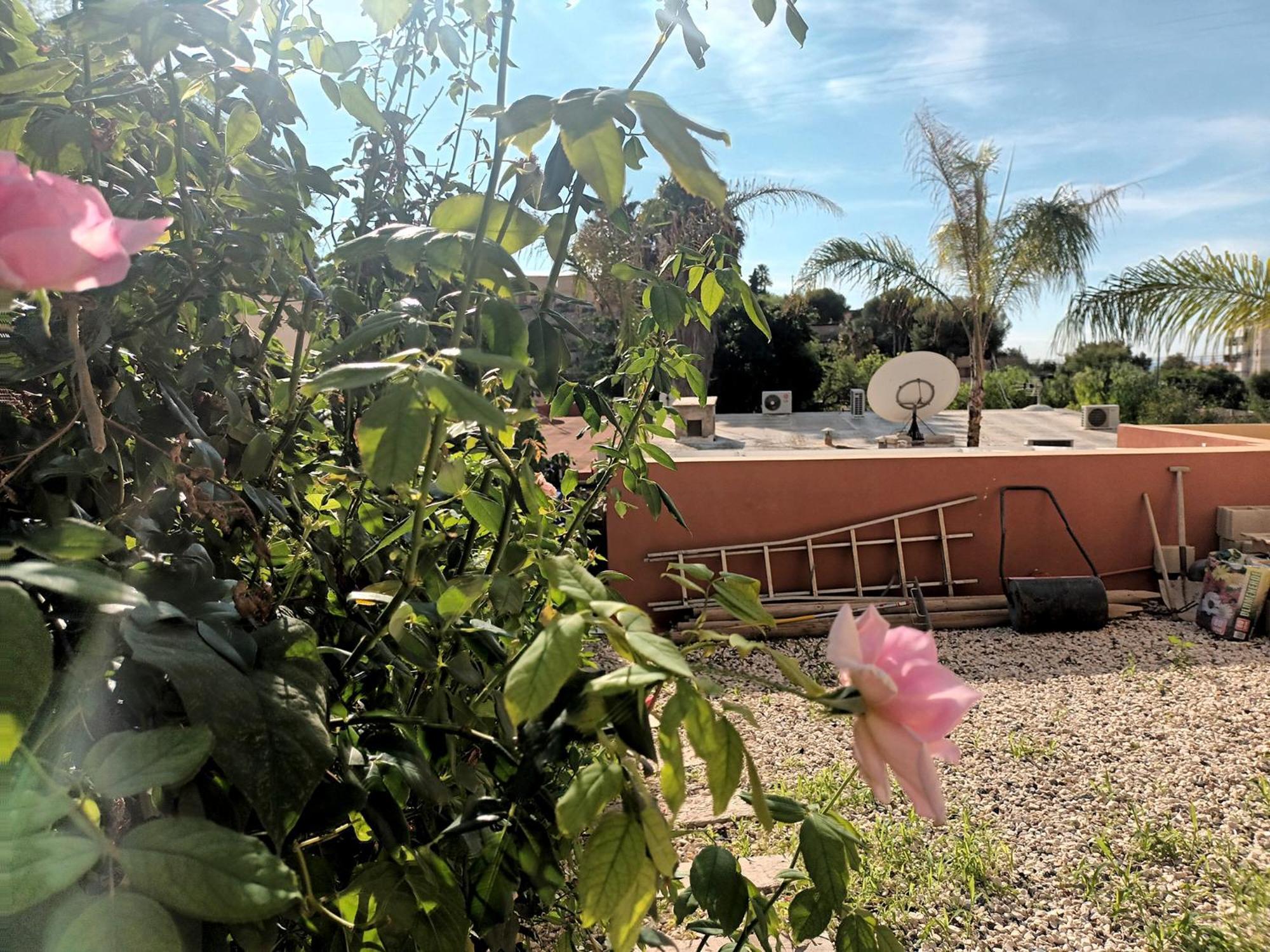En Coveta Fuma- *